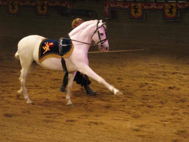 Medieval Times - Shannons 23rd Bday 33.JPG
